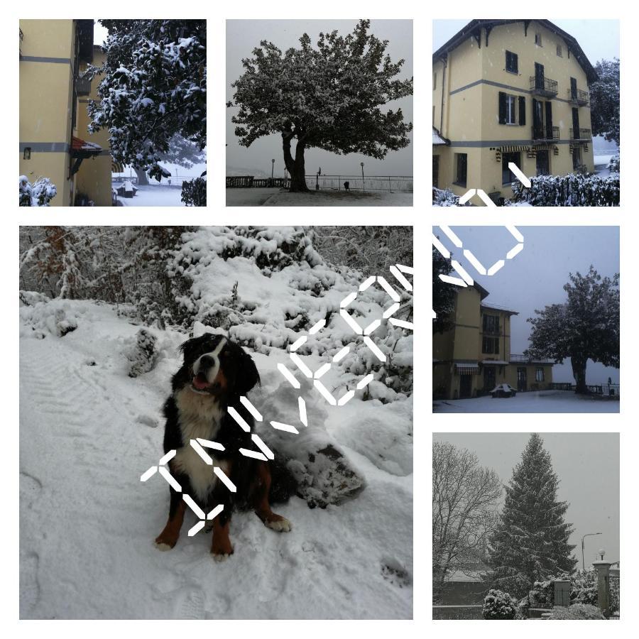 Villa Magnolia Bb, Lago Maggiore Massino Visconti Bagian luar foto